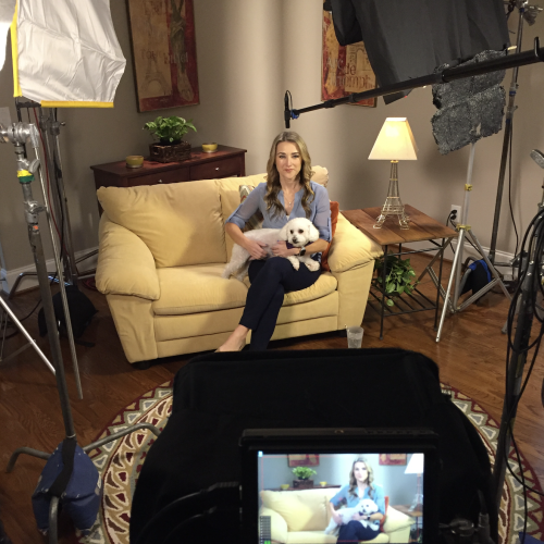 Vet info Production set up